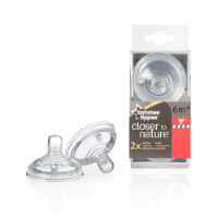 Tommee Tippee Closer to Nature Flesspeen Pap 2 stuks