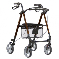 Caremart Litewalk