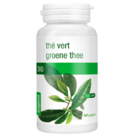 Purasana Groene thee BIO (120 capsules)